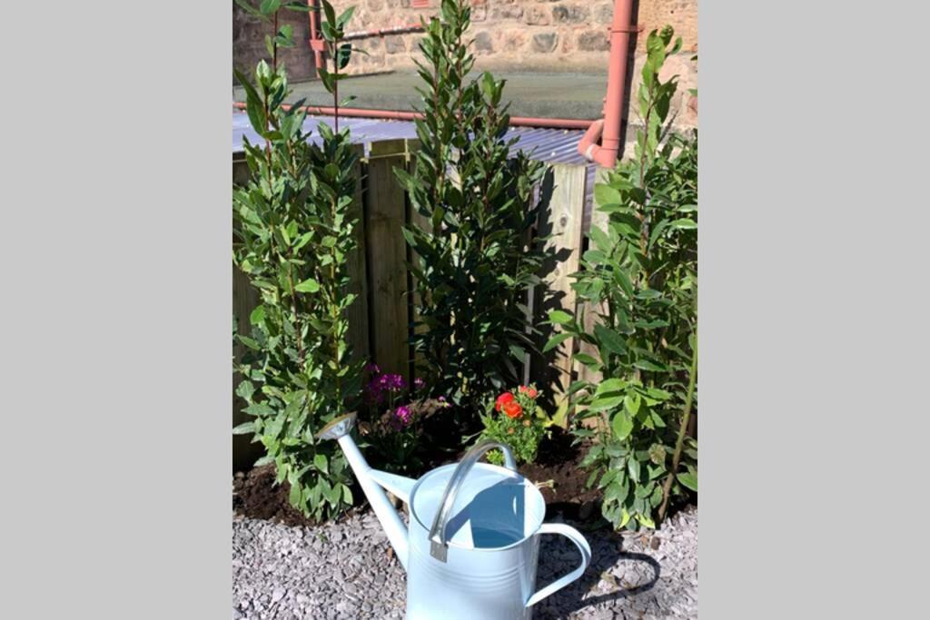 The Nook - A Stylish Apartment With Garden, Near The Beach Berwick Upon Tweed Esterno foto